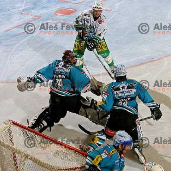 Mitchell (2) at ice-hockey match ZM Olimpija- Black Wings Linz in EBEL league, played in Ljubljana 28.10.2007. Photo by Ales Fevzer 