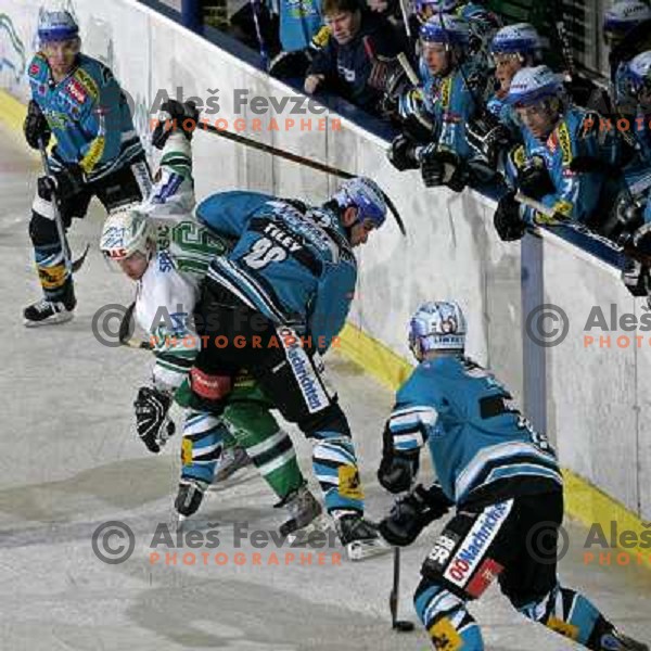 Music and Tiley at ice-hockey match ZM Olimpija- Black Wings Linz in EBEL league, played in Ljubljana 28.10.2007. Photo by Ales Fevzer 