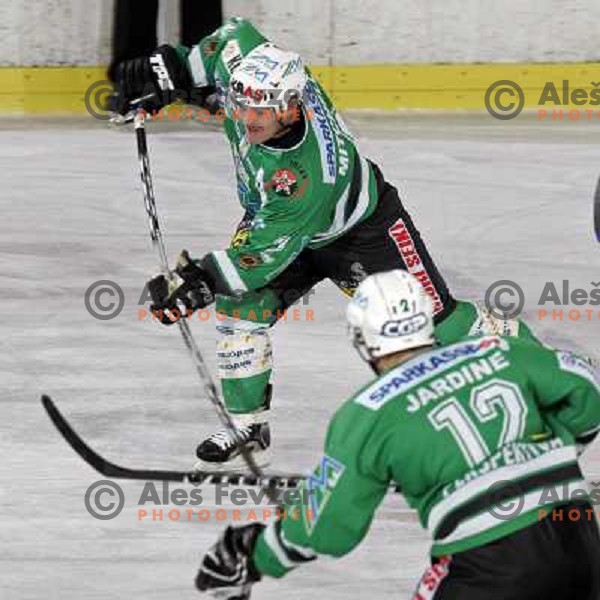 Mitchell at ice-hockey game ZM Olimpija- Innsbruck in EBEL league, played in Ljubljana 2.11.2007. Photo by Ales Fevzer 