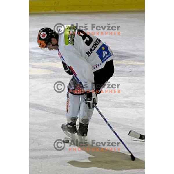 Razingar at ice-hockey game ZM Olimpija- Innsbruck in EBEL league, played in Ljubljana 2.11.2007. Photo by Ales Fevzer 