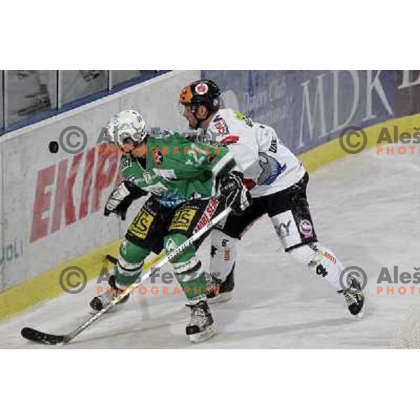 Avgustincic (21) and Unterluggauer at ice-hockey game ZM Olimpija- Innsbruck in EBEL league, played in Ljubljana 2.11.2007. Photo by Ales Fevzer 