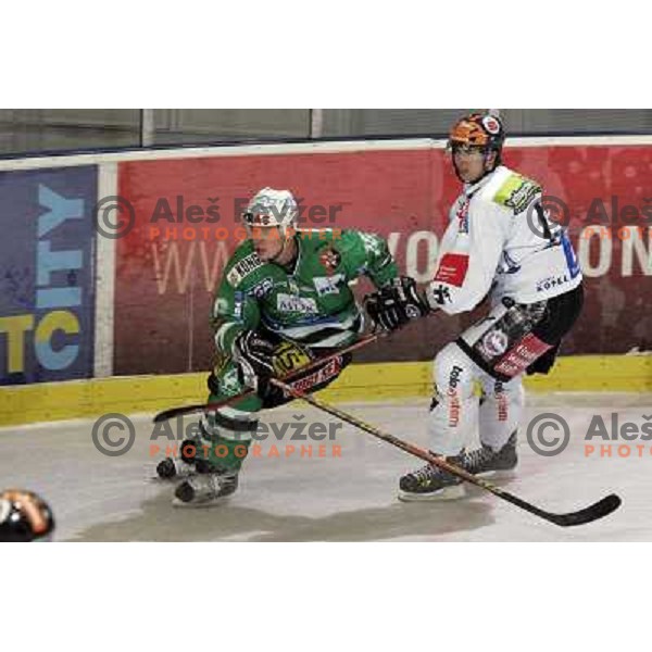 Ales Music (16) at ice-hockey game ZM Olimpija- Innsbruck in EBEL league, played in Ljubljana 2.11.2007. Photo by Ales Fevzer 