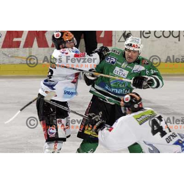Zupancic at ce-hockey game ZM Olimpija- Innsbruck in EBEL league, played in Ljubljana 2.11.2007. Photo by Ales Fevzer 