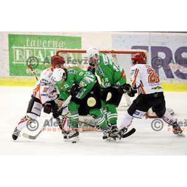 of Olimpija Ljubljana in action during ice-hockey match between Olimpija Ljubljana and Jesenice in the Final of Slovenian league 2016/2017 in Tivoli Hall, Ljubljana, Slovenia on April 6, 2017