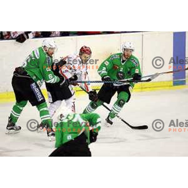 Bostjan Groznik and Enes Gorse of Olimpija Ljubljana in action during ice-hockey match between Olimpija Ljubljana and Jesenice in the Final of Slovenian league 2016/2017 in Tivoli Hall, Ljubljana, Slovenia on April 6, 2017