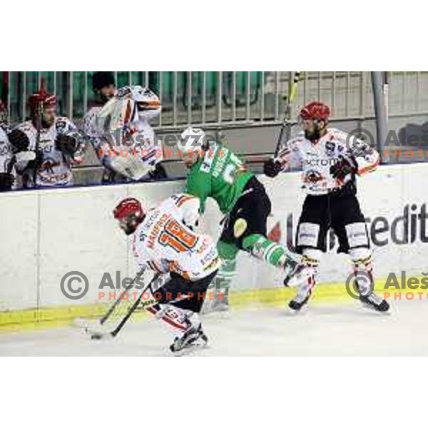 of Olimpija Ljubljana in action during ice-hockey match between Olimpija Ljubljana and Jesenice in the Final of Slovenian league 2016/2017 in Tivoli Hall, Ljubljana, Slovenia on April 6, 2017