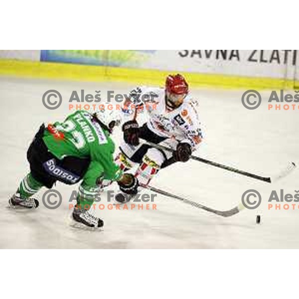 of Olimpija Ljubljana in action during ice-hockey match between Olimpija Ljubljana and Jesenice in the Final of Slovenian league 2016/2017 in Tivoli Hall, Ljubljana, Slovenia on April 6, 2017