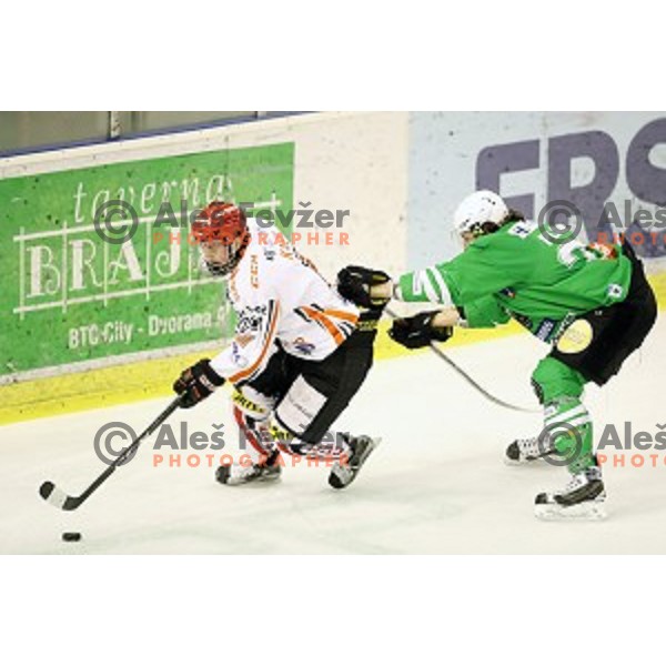Luka Kalan of Jesenice in action during ice-hockey match between Olimpija Ljubljana and Jesenice in the Final of Slovenian league 2016/2017 in Tivoli Hall, Ljubljana, Slovenia on April 6, 2017