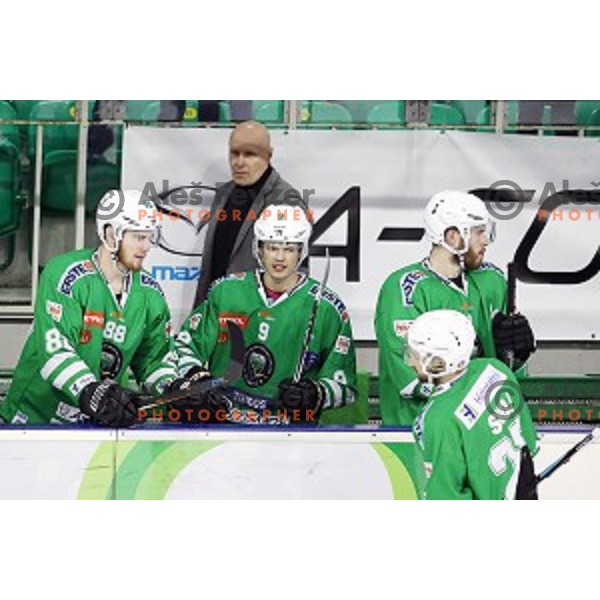 action during ice-hockey match between Olimpija Ljubljana and Jesenice in the Final of Slovenian league 2016/2017 in Tivoli Hall, Ljubljana, Slovenia on April 6, 2017