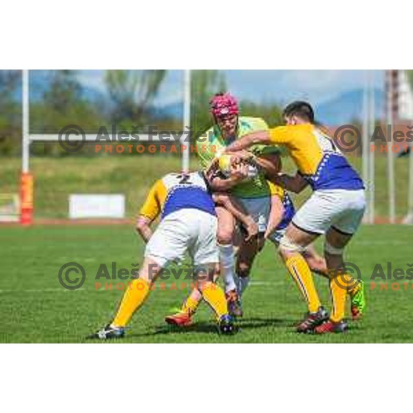 in action during rugby match between Slovenia and Bosnia and hercegovina at Stadion Zak, Ljubljana, Slovenia, on April 8th, 2017.