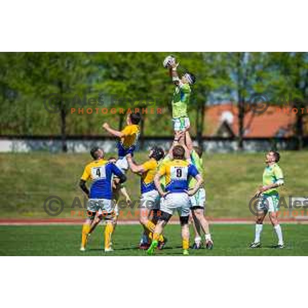 in action during rugby match between Slovenia and Bosnia and hercegovina at Stadion Zak, Ljubljana, Slovenia, on April 8th, 2017.