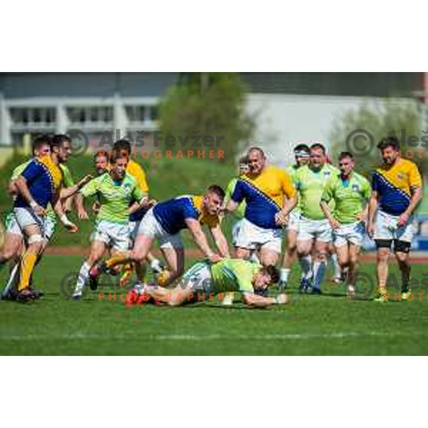 in action during rugby match between Slovenia and Bosnia and Hercegovina at Stadion Zak, Ljubljana, Slovenia, on April 8th, 2017.