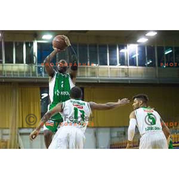 Lee Ronald Curry jr of Krka in action during Nova KBM basketball match between Union Olimpija and Krka at Tivoli Hall, Ljubljana, Slovenia, on April 8th, 2017.