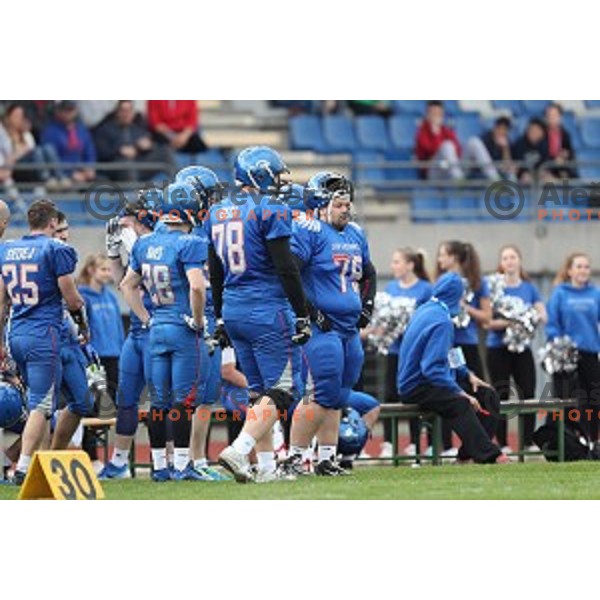 action during Austrian Football League match between Ljubljana Silverhawks and Swarco Raiders in Ljubljana on April 15, 2017