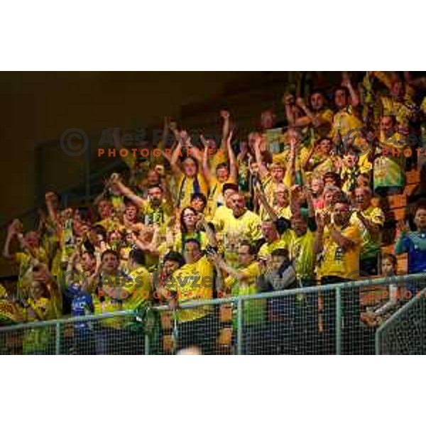 Fans of Celje PL in action during handball match between Celje Pivovarna Lasko - Gorenje Velenje, semi final Slovenia cup match 2016/17, played in Dvorana Tabor, Maribor, Slovenia on April 15, 2017