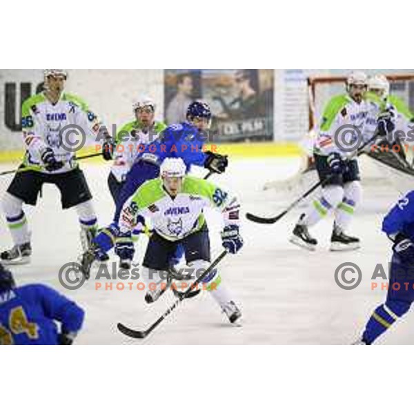 action during friendly ice-hockey match between Slovenia and Kazakhstan in Ljubljana on April 15, 2017