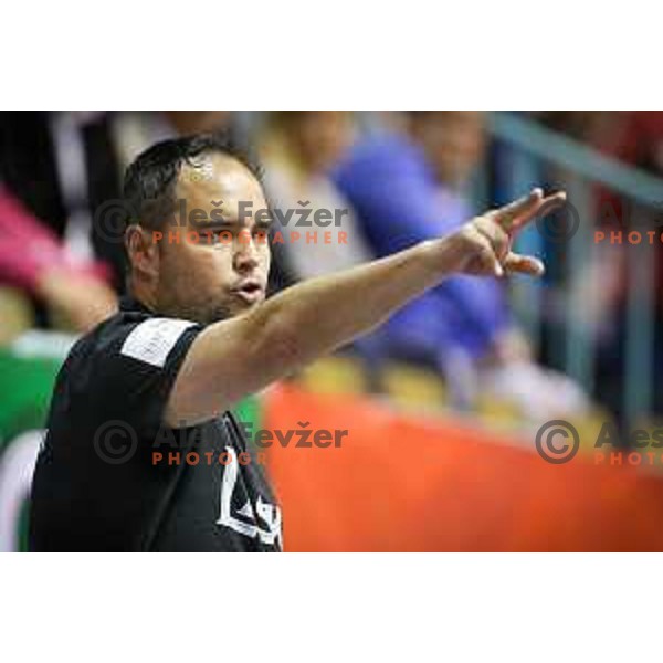 Branko Tamse, head coach of Celje PL during handball match between Maribor Branik - Celje PL, final Slovenia cup match 2016/17, played in Dvorana Tabor, Maribor, Slovenia on April 16, 2017