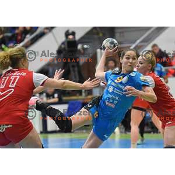 in action during Slovenian Cup handball match between Celje and Krim Mercator in Golovec Hall, Celje on April 23, 2017