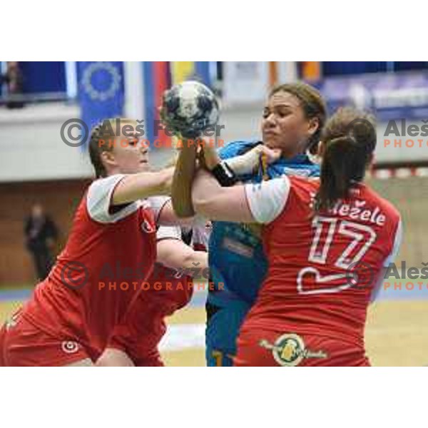 in action during Slovenian Cup handball match between Celje and Krim Mercator in Golovec Hall, Celje on April 23, 2017