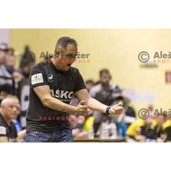 Celje’s head coach Branko Tamse reacting during 1 NLB Leasing League match between Gorenje and Celje PL, in Velenje, on April 26th, 2017 