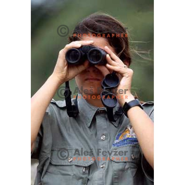 Park ranger in Botswana 