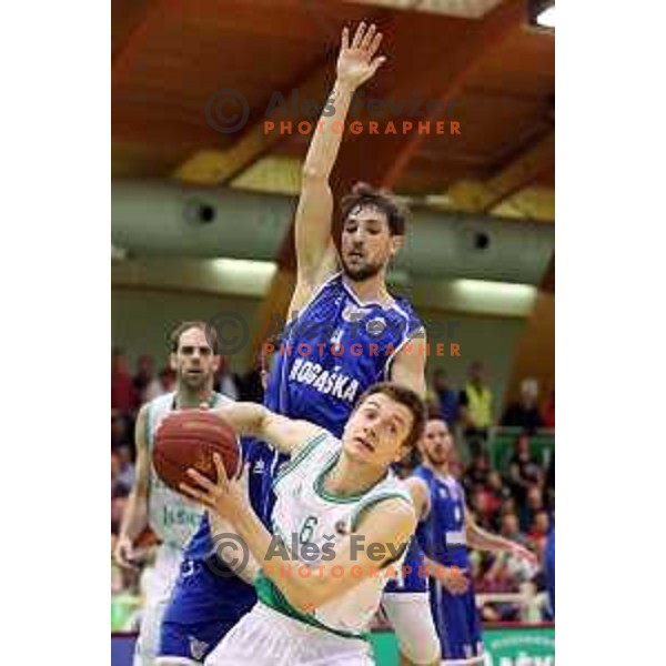 Tadej Ferme of Rogaska and Jernej Ledl of Zlatorog Lasko in action during semi-final of Nova KBM league basketball match between Zlatorog Lasko and Rogaska in Tri Lilije Hall, Lasko, Slovenia on May 10, 2017