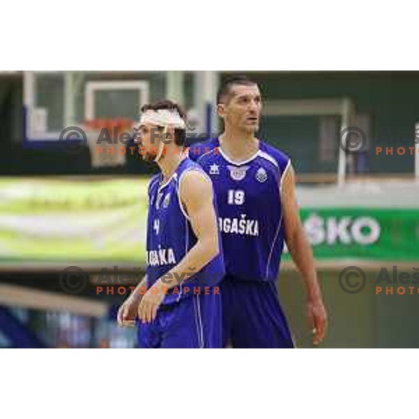 Tadej Ferme and Dragisa Drobnjak of Rogaska in action during semi-final of Nova KBM league basketball match between Zlatorog Lasko and Rogaska in Tri Lilije Hall, Lasko, Slovenia on May 10, 2017