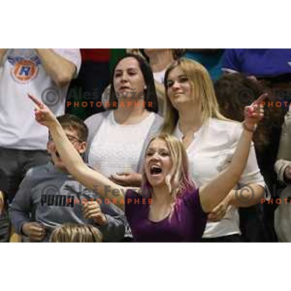 Fans of Rogaska in action during semi-final of Nova KBM league basketball match between Zlatorog Lasko and Rogaska in Tri Lilije Hall, Lasko, Slovenia on May 10, 2017