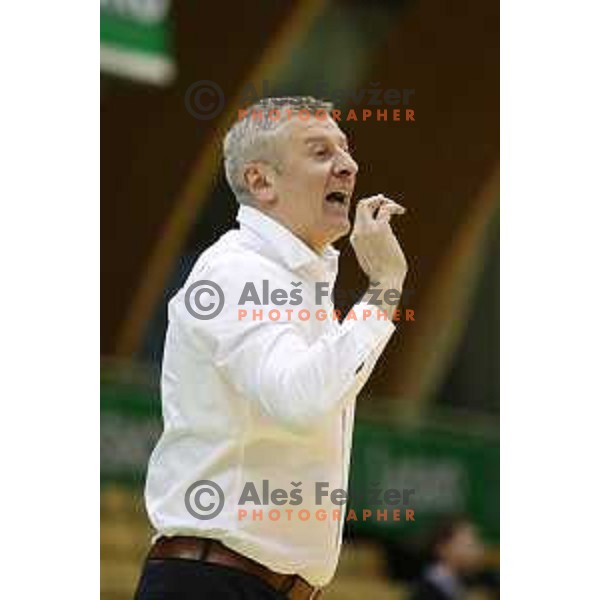 Damjan Novakovic, head coach of Rogaska in action during semi-final of Nova KBM league basketball match between Zlatorog Lasko and Rogaska in Tri Lilije Hall, Lasko, Slovenia on May 10, 2017