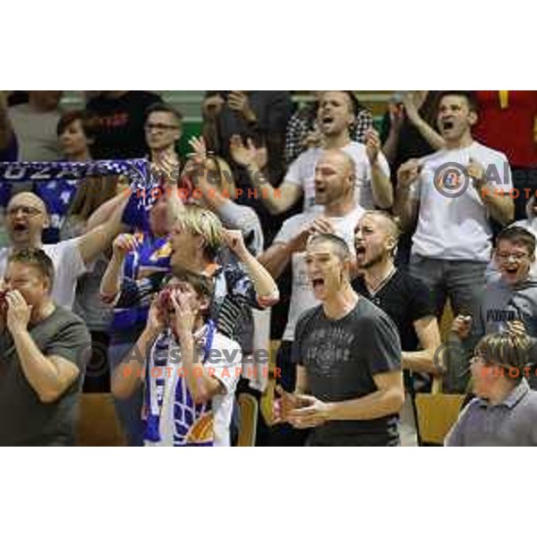 Fans of Rogaska in action during semi-final of Nova KBM league basketball match between Zlatorog Lasko and Rogaska in Tri Lilije Hall, Lasko, Slovenia on May 10, 2017