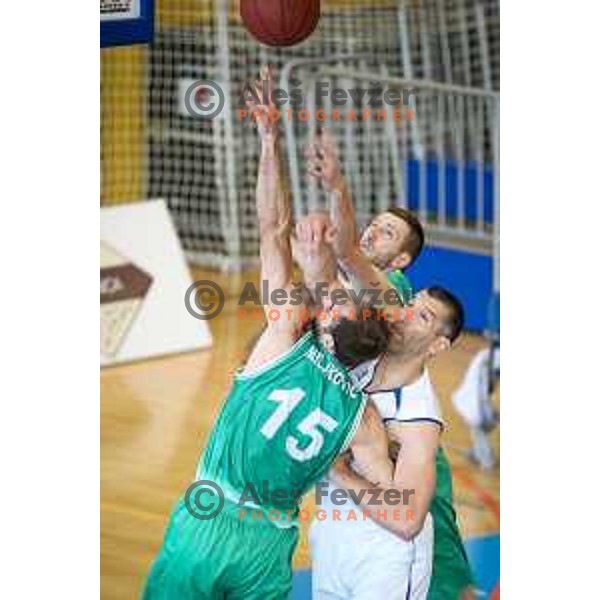 Milos Miljkovic of Zlatorog Lasko in action during basketball match between KK Rogaska - Zlatorog Lasko of Nova KBM league 2016/17, played at Sports hall Rogaska Slatina, Slovenia on May 12, 2017