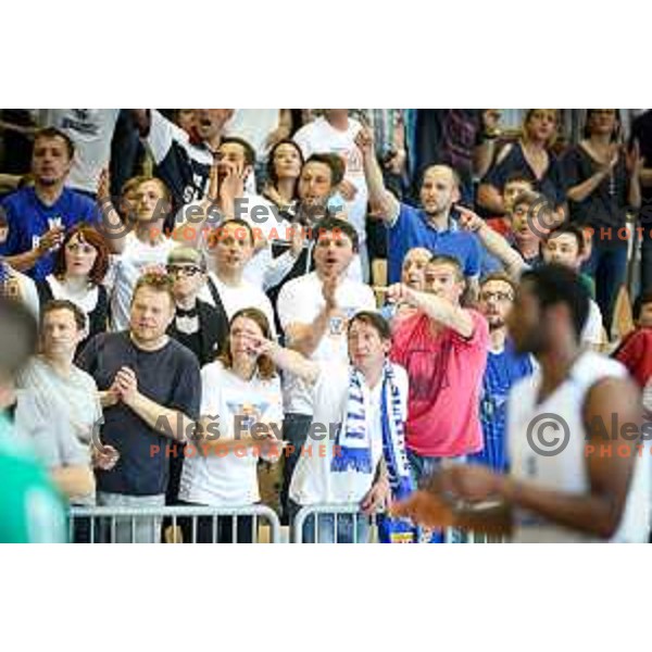 Fans of Rogaska during basketball match between KK Rogaska - Zlatorog Lasko of Nova KBM league 2016/17, played at Sports hall Rogaska Slatina, Slovenia on May 12, 2017