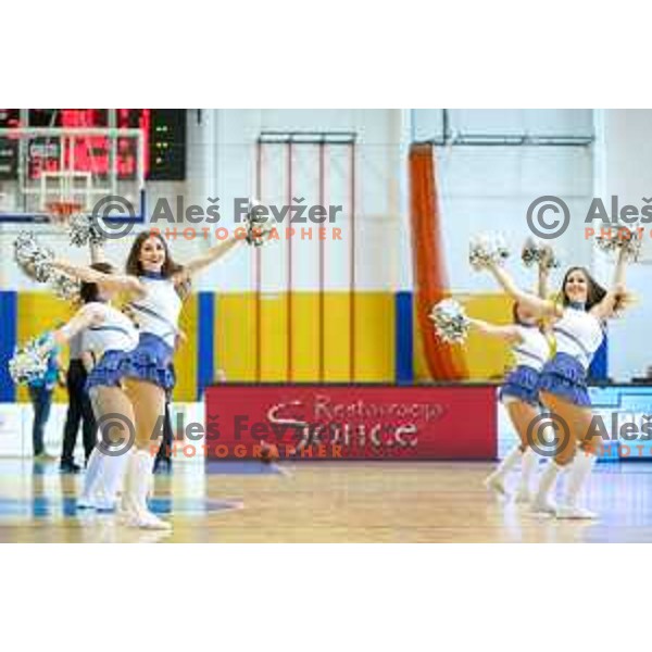 Cheerleaders of Rogaska during basketball match between KK Rogaska - Zlatorog Lasko of Nova KBM league 2016/17, played at Sports hall Rogaska Slatina, Slovenia on May 12, 2017