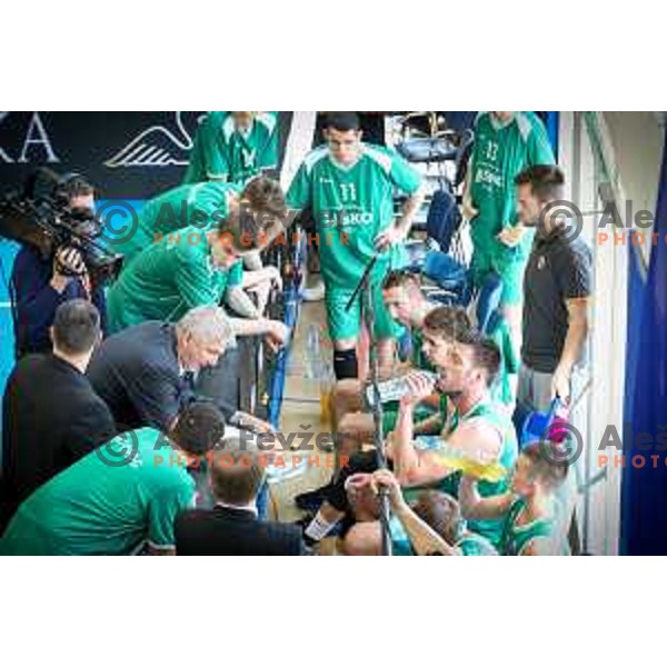 Ales Pipan, head coach of Zlatorog Lasko in action during basketball match between KK Rogaska - Zlatorog Lasko of Nova KBM league 2016/17, played at Sports hall Rogaska Slatina, Slovenia on May 12, 2017