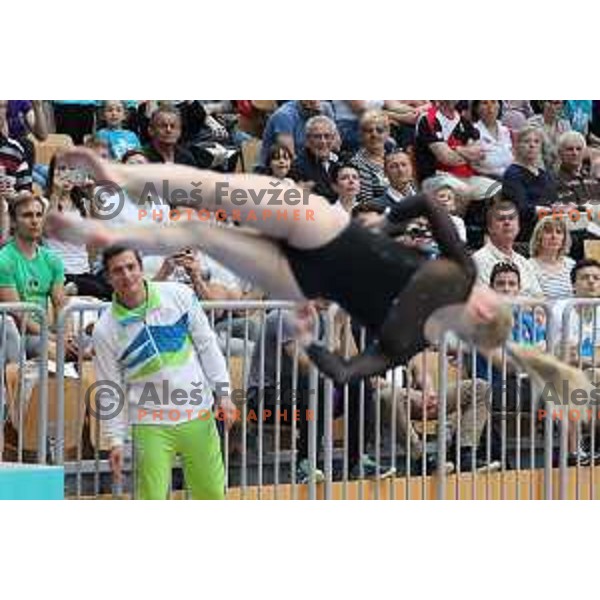 Andrej Mavric at FIG World Challenge Cup in Bonifika Hall, Koper, Slovenia on May 13, 2017