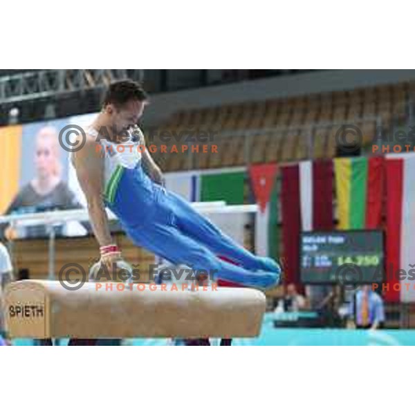 Saso Bertoncelj (SLO) winner of pommel horse at FIG World Challenge Cup in Bonifika Hall, Koper, Slovenia on May 13, 2017