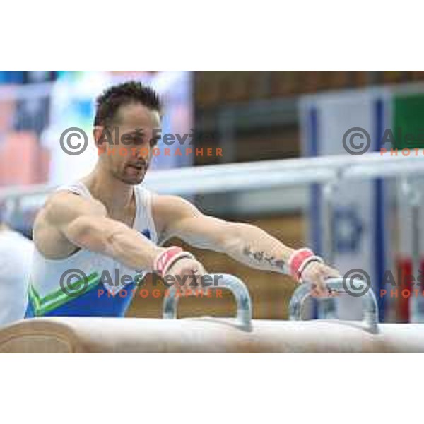 Saso Bertoncelj (SLO) winner of pommel horse at FIG World Challenge Cup in Bonifika Hall, Koper, Slovenia on May 13, 2017