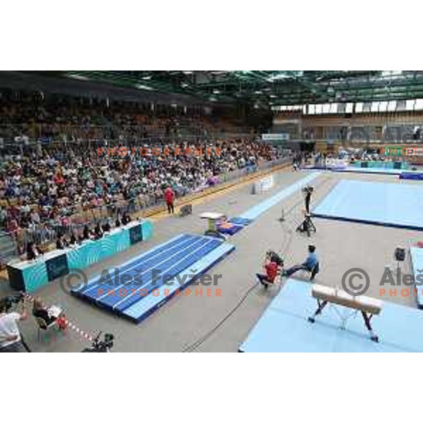 FIG World Challenge Cup in Bonifika Hall, Koper, Slovenia on May 13, 2017
