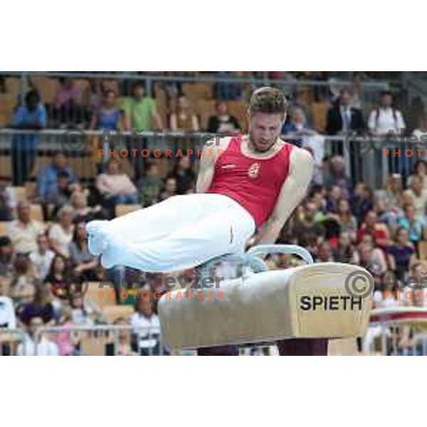 Krisztian Berki (HUN) at FIG World Challenge Cup in Bonifika Hall, Koper, Slovenia on May 13, 2017