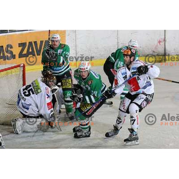 Kralj at ice-hockey match ZM Olimpija- Innsbruck in EBEL league , played in Ljubljana (Slovenia) 11.11.2007. Photo by Ales Fevzer 