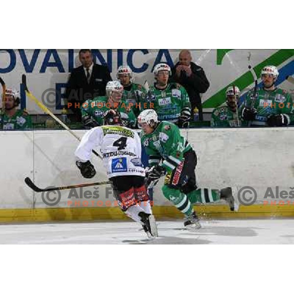 Music at ice-hockey match ZM Olimpija- Innsbruck in EBEL league , played in Ljubljana (Slovenia) 11.11.2007. Photo by Ales Fevzer 