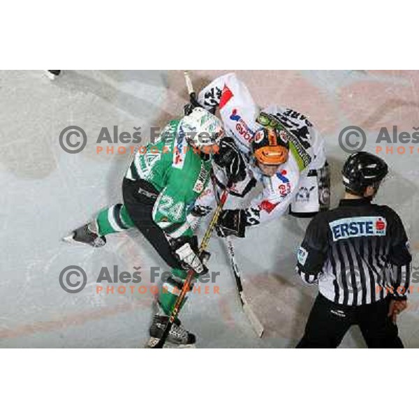 ice-hockey match ZM Olimpija- Innsbruck in EBEL league , played in Ljubljana (Slovenia) 11.11.2007. Photo by Ales Fevzer 