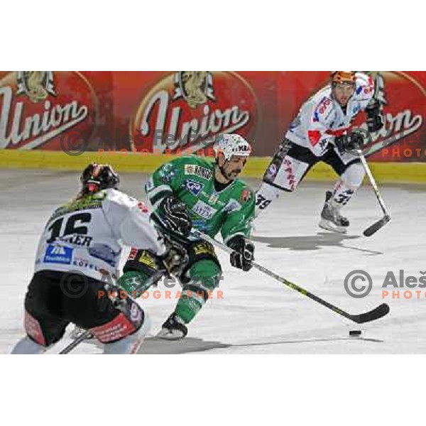 Intranuovo at ice-hockey match ZM Olimpija- Innsbruck in EBEL league , played in Ljubljana (Slovenia) 11.11.2007. Photo by Ales Fevzer 