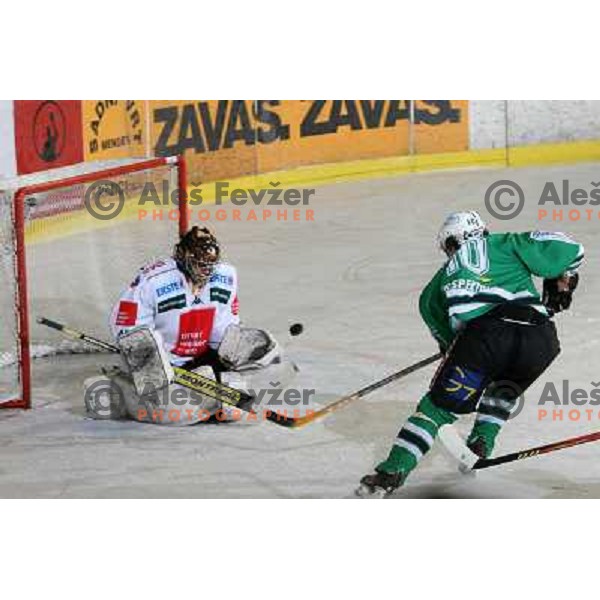 Yarema at ice-hockey match ZM Olimpija- Innsbruck in EBEL league , played in Ljubljana (Slovenia) 11.11.2007. Photo by Ales Fevzer 