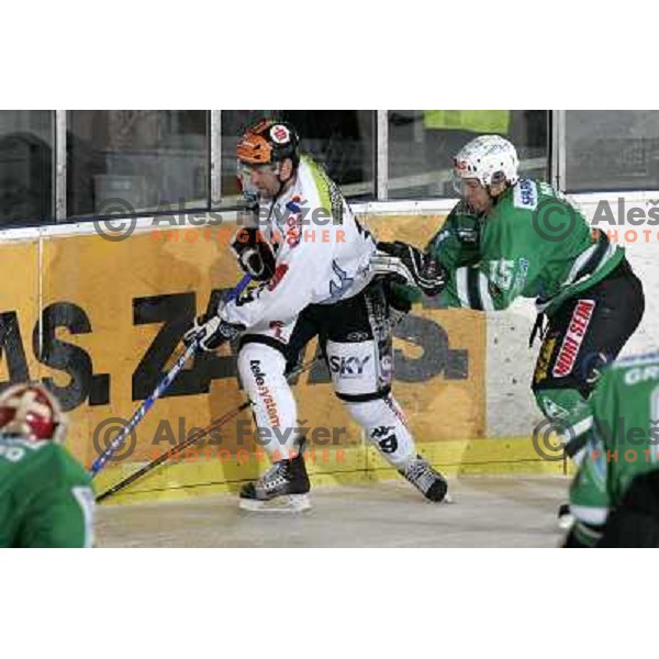 Razingar (9) and Muric at ice-hockey match ZM Olimpija- Innsbruck in EBEL league , played in Ljubljana (Slovenia) 11.11.2007. Photo by Ales Fevzer 