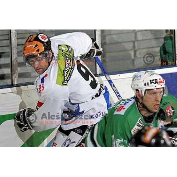 Razingar at ice-hockey match ZM Olimpija- Innsbruck in EBEL league , played in Ljubljana (Slovenia) 11.11.2007. Photo by Ales Fevzer 