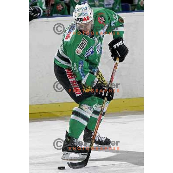 Pavlin at ice-hockey match ZM Olimpija- Innsbruck in EBEL league , played in Ljubljana (Slovenia) 11.11.2007. Photo by Ales Fevzer 