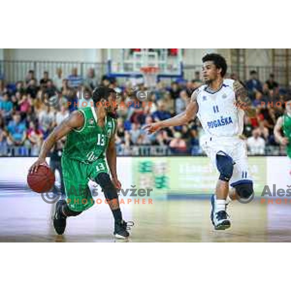 Miguel Jefferson Brandon of Union Olimpija vs Darwin Davis Jr of Rogaska in action during basketball match between KK Rogaska - Union Olimpija of Nova KBM league 2016/17 finals, played at Sports hall Rogaska Slatina, Slovenia on May 16, 2017
