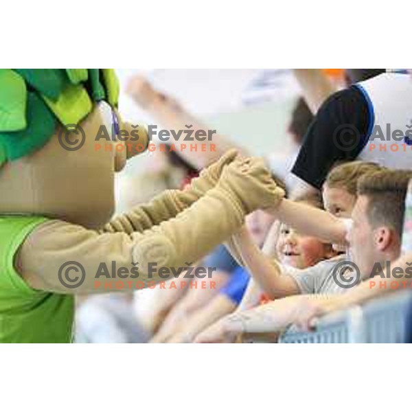 Lipko and fans during basketball match between KK Rogaska - Union Olimpija of Nova KBM league 2016/17 finals, played at Sports hall Rogaska Slatina, Slovenia on May 16, 2017