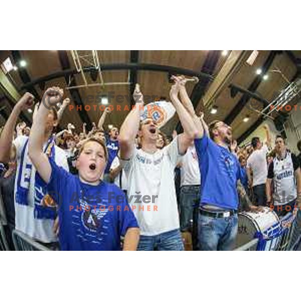 Fans of Rogaska in action during basketball match between KK Rogaska - Union Olimpija of Nova KBM league 2016/17 finals, played at Sports hall Rogaska Slatina, Slovenia on May 16, 2017